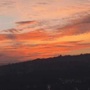Debbie Swales image Debbie Swales header