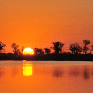 Vicki Ball image Vicki Ball header